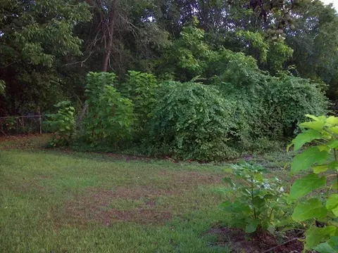 822 E Chapman Rd, Macon, GA 31211 photo 18