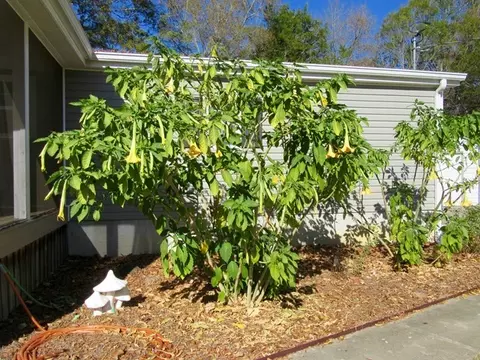 103 Cardinal Ave, Perry, GA 31069 photo 34