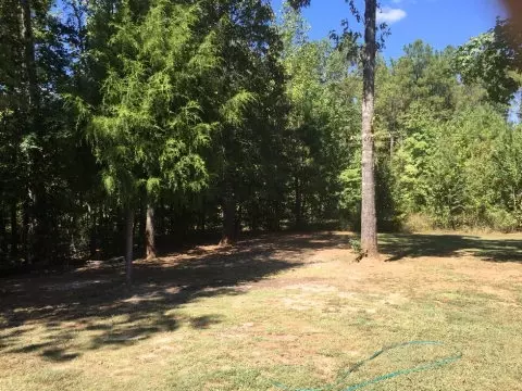 2567 Boxankle Rd, Forsyth, GA 31029 photo 24
