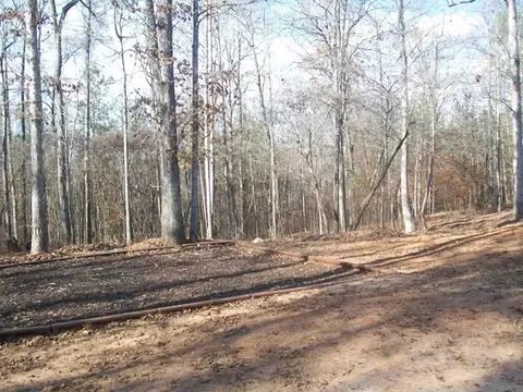 316 Amanda Dr, Gray, GA 31032 photo 12