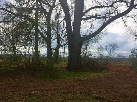 360 Valley Rd, Byron, GA 31008 photo 5