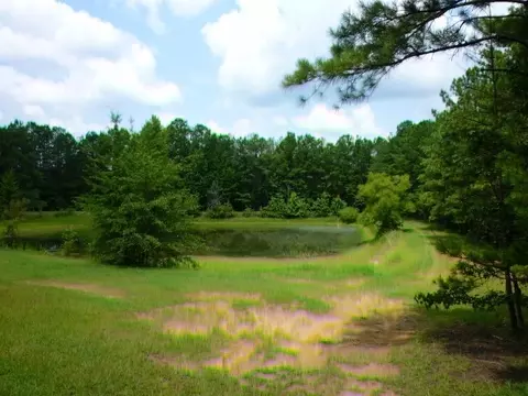 3031 Graham Rd, Gray, GA 31032 photo 36