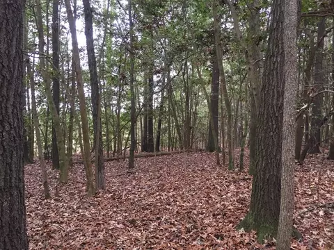 235 NW Pointe Dr, Macon, GA 31220 photo 3