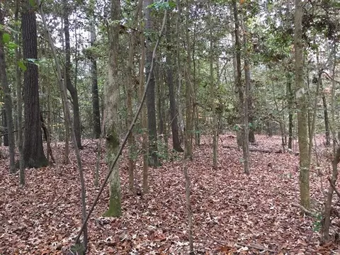 235 NW Pointe Dr, Macon, GA 31220 photo 2
