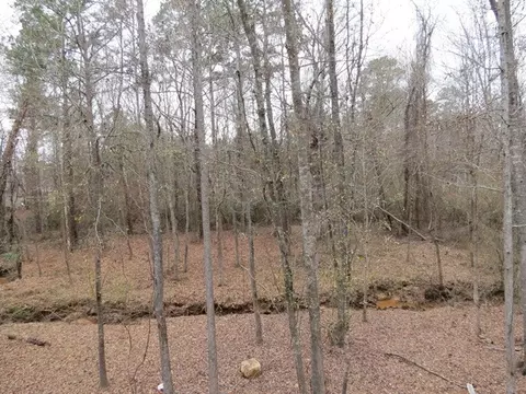 107 Oak Dr, Gray, GA 31032 photo 25