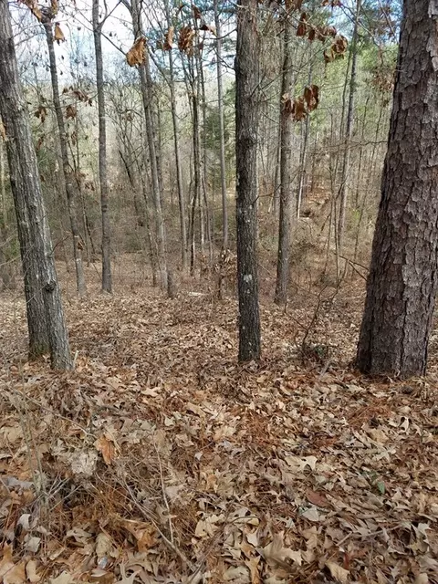 725 Atkinson Rd, Byron, GA 31008 photo 3