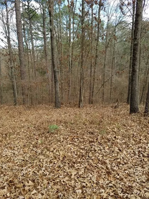 725 Atkinson Rd, Byron, GA 31008 photo 2