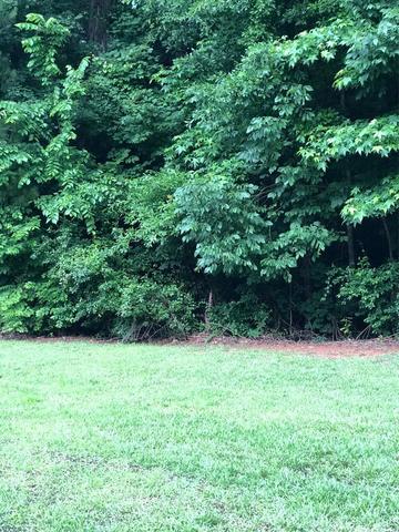 605 Waverly Ct, Macon, GA 31210