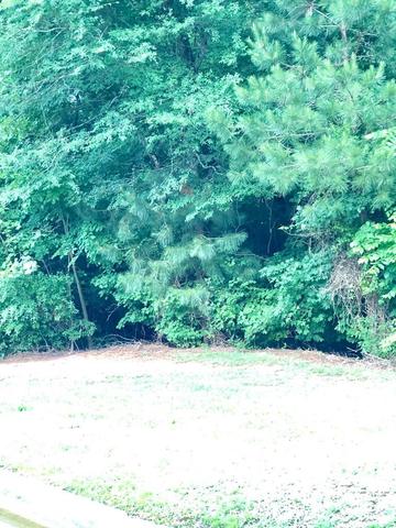 730 Waverly Pt, Macon, GA 31210