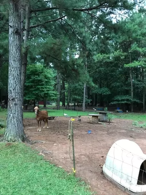 549 Fifth Rd, Haddock, GA 31033 photo 33