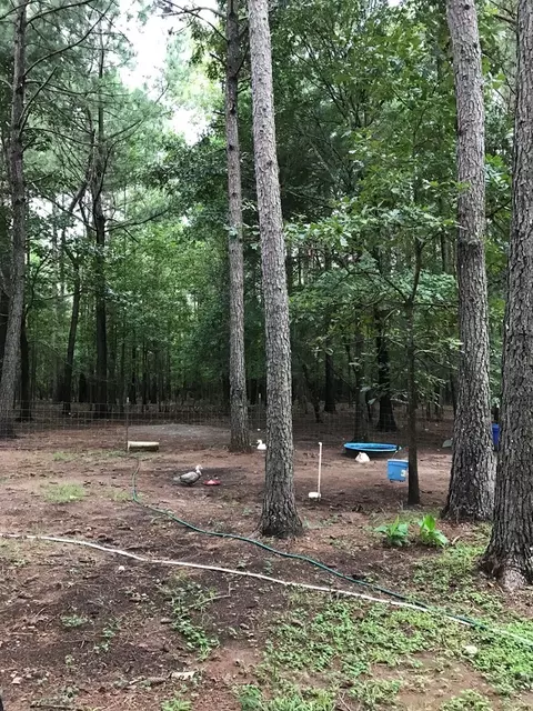 549 Fifth Rd, Haddock, GA 31033 photo 39