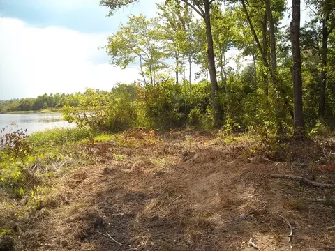 159 Peninsula Ave, Macon, GA 31220 photo 7