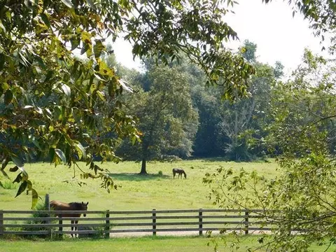 1241 Zenith Mill Rd, Roberta, GA 31078 photo 30