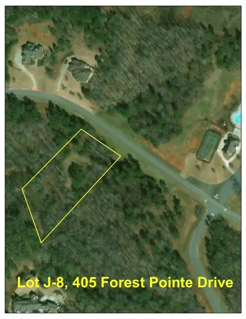 405 Forest Pointe Dr, Forsyth, GA 31029 photo 2