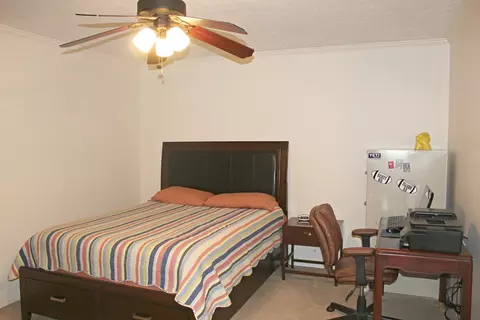 297 Mitchell Rd, Forsyth, GA 31029 photo 10