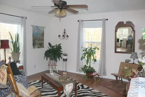 297 Mitchell Rd, Forsyth, GA 31029 photo 16
