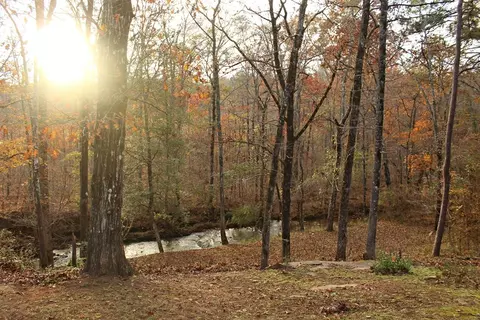 297 Mitchell Rd, Forsyth, GA 31029 photo 2