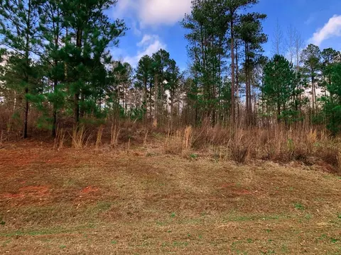 604 Forest Pointe Dr, Forsyth, GA 31029 photo 8