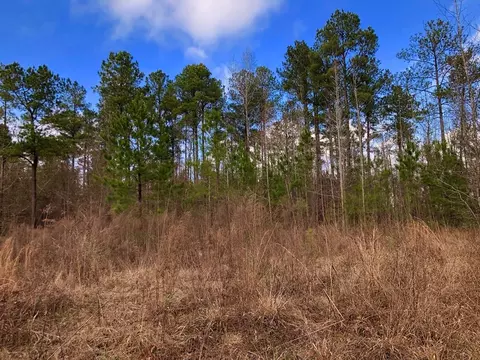 604 Forest Pointe Dr, Forsyth, GA 31029 photo 7