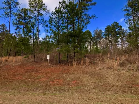 604 Forest Pointe Dr, Forsyth, GA 31029 photo 5