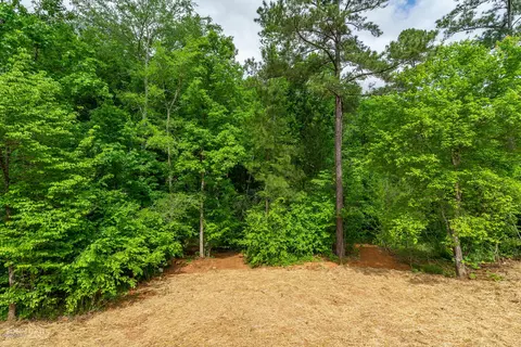 4473 Rivercliff Way, Gray, GA 31032 photo 26