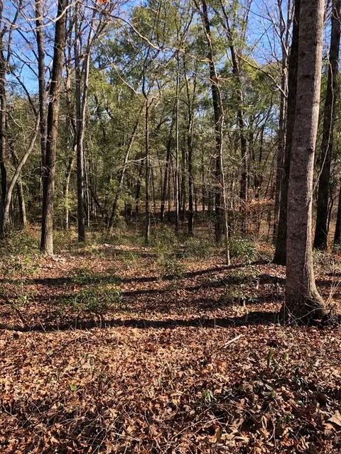 105 Ridge Way, Forsyth, GA 31029 photo 3