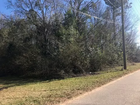 60 Berner Ave, Forsyth, GA 31029 photo 2