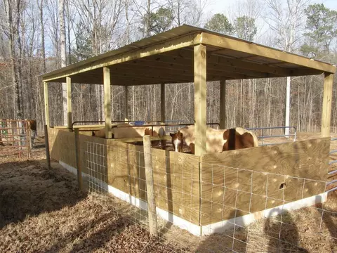 601 Elbert Jackson Rd, Forsyth, GA 31029 photo 11
