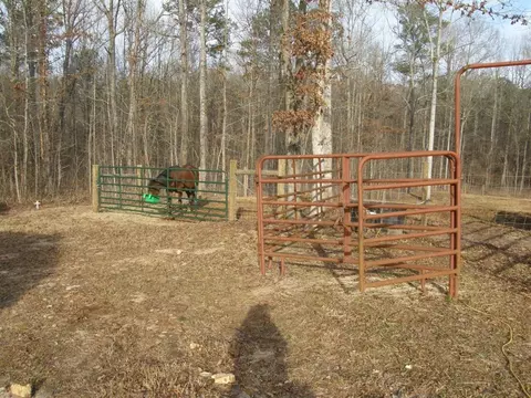 601 Elbert Jackson Rd, Forsyth, GA 31029 photo 14