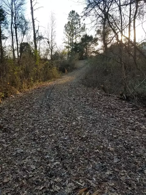 174 Hampton Hill Rd, Gray, GA 31032 photo 29