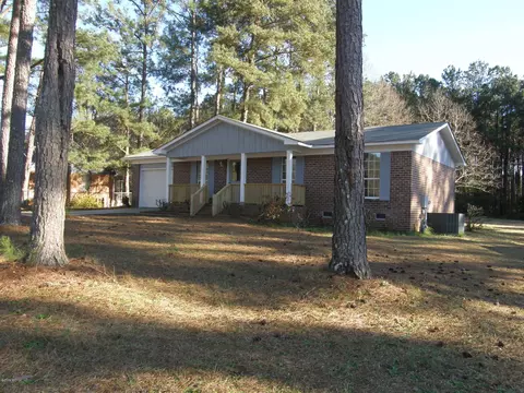 69 Brandywine Dr, Forsyth, GA 31029 photo 1