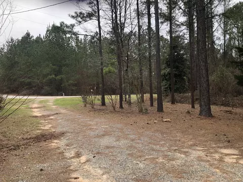 381 Hawkeye Ct, Oglethorpe, GA 31068 photo 4