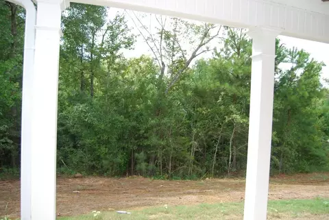 110 Carters Way, Forsyth, GA 31029 photo 16