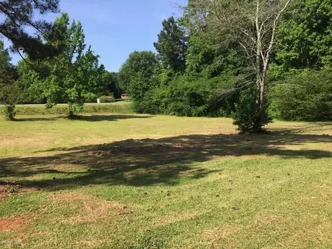 265 Hickman Rd, Forsyth, GA 31029 photo 3