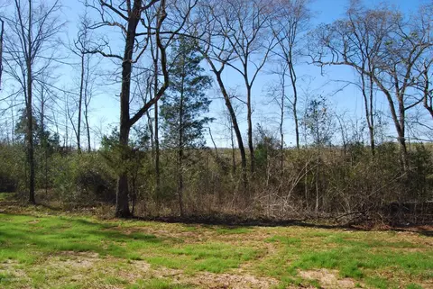 192 Jackson Dr, Forsyth, GA 31029 photo 23