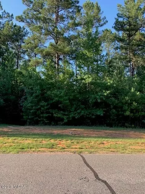 210 Crescent Dr, Forsyth, GA 31029 photo 6