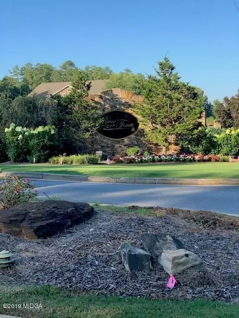 210 Crescent Dr, Forsyth, GA 31029 photo 8