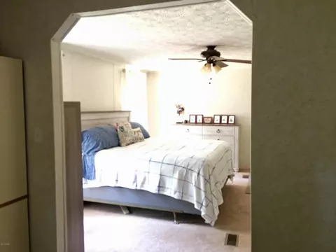 358 Kitchens Rd SW, Haddock, GA 31033 photo 12