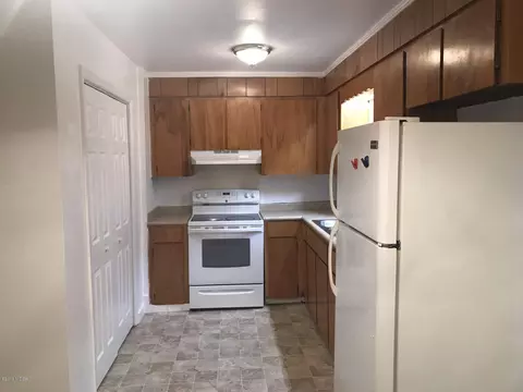 119 Lakeview Dr, Roberta, GA 31078 photo 3