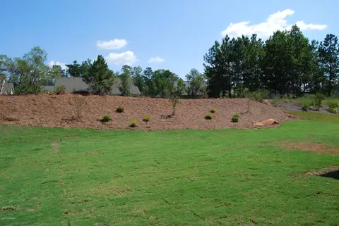 523 Constitution Dr, Forsyth, GA 31029 photo 16