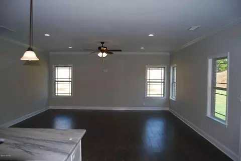 523 Constitution Dr, Forsyth, GA 31029 photo 3