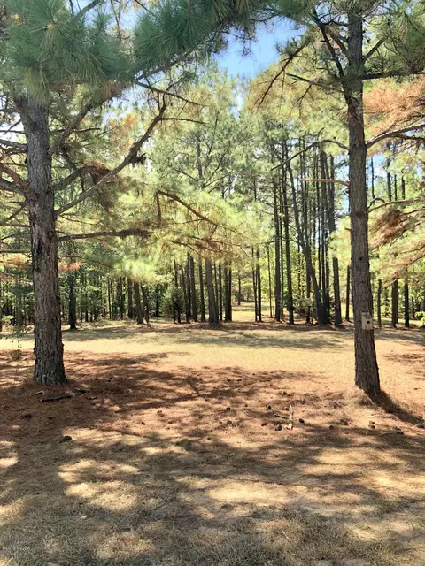405 Childs Rd, Roberta, GA 31078 photo 15