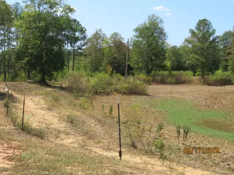 641 Billy White Rd, Roberta, GA 31078 photo 14