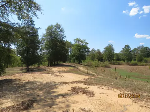 641 Billy White Rd, Roberta, GA 31078 photo 13