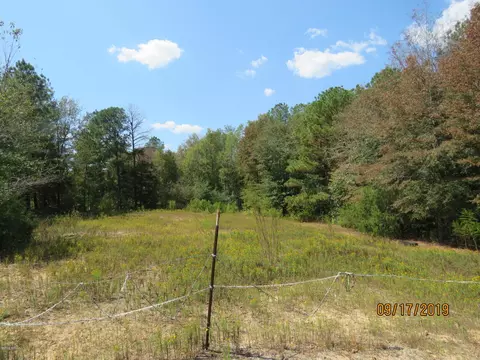 641 Billy White Rd, Roberta, GA 31078 photo 15