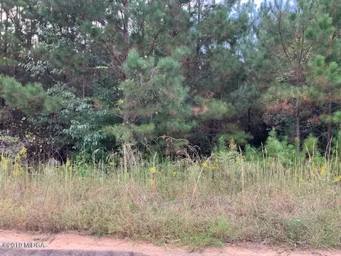 136 Rivers Edge Dr, Forsyth, GA 31029 photo 5
