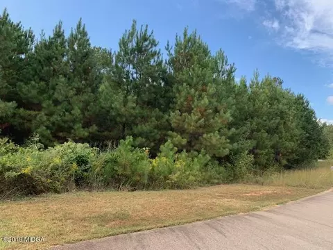 136 Rivers Edge Dr, Forsyth, GA 31029 photo 4