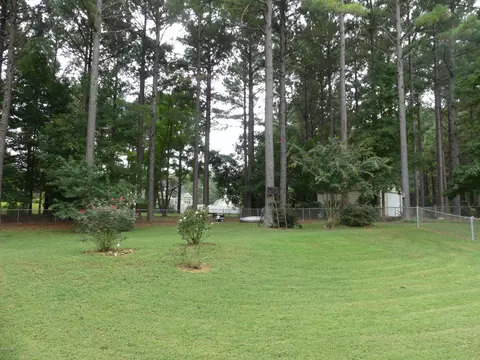 421 Annies Path, Gray, GA 31032 photo 32