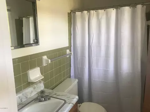 157 Lakeview Dr, Roberta, GA 31078 photo 7