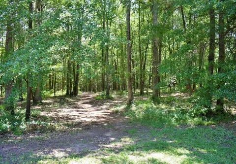 151 Whitehead Rd, Gray, GA 31032 photo 22